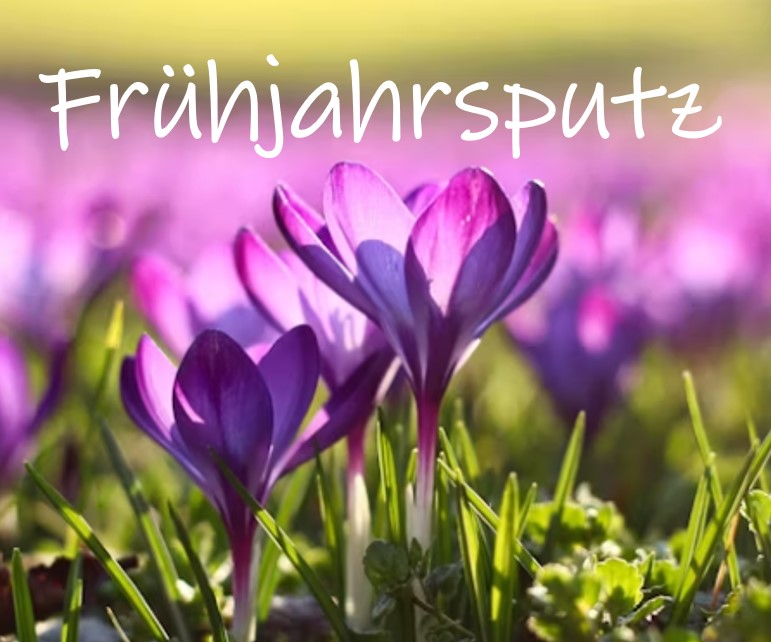 Frühjahrsputz